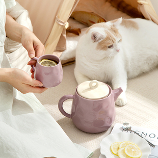 陶瓷泡茶壶耐高温家用客厅茶杯具组合高颜值花茶壶冷水壶茶具套装