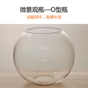 多肉苔藓微景观，透明玻璃瓶高硼硅圆形，水滴桌面花盆满19元