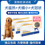 狗犬瘟细小冠状测试纸套装三合一CDV+CPV+CCV宠物检测卡家用自测