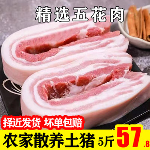 国产五花肉新鲜现杀猪肉，鲜肉散养土猪肉，生猪肉整箱