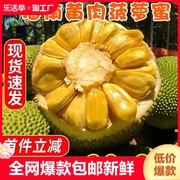 海南菠萝蜜一整个新鲜水果当季黄肉波罗蜜，整箱特产40斤红尝鲜