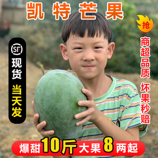 四川攀枝花凯特芒果10斤当季新鲜水果现摘超甜特大青皮整箱3