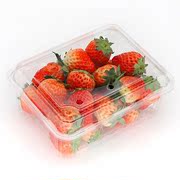 一斤装一次性带盖水果盒，透气抗压商超，用果蔬保鲜吸塑包装盒