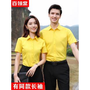 男女职业白领免烫黄色，衬衫短袖装饰公司，工作服定制长袖衬衣绣logo
