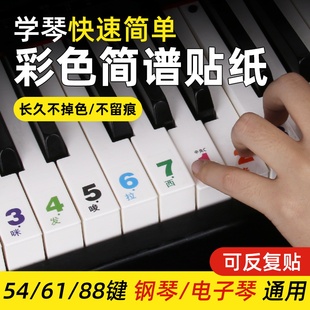 88键61键54键儿童初学入门成人钢琴电子琴简谱音调键盘透明贴纸