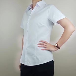 女纯白色职业装衬衫竖条纹面试长，短袖大码修身显瘦尖领气质棉工衣