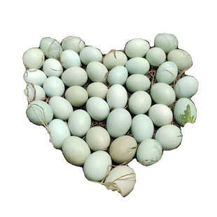 40枚绿壳鸡蛋新鲜乌鸡土鸡蛋农家，散养月子蛋，宝宝蛋正宗柴草蛋