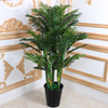 假树仿真树室内装饰葵树盆栽，大型绿植客厅，室内花落地植物假椰子树