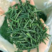 六安瓜片2023年新茶绿茶，安徽茶叶春茶，口粮茶散装共250g