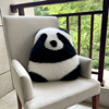 熊猫抱枕萌兰和花花靠垫，可爱沙发女生儿童，客厅装饰大熊猫生日礼物