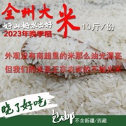 散装广西桂林全州农家大米不抛光10斤一份2023年晚季稻新米
