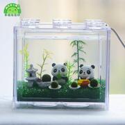 幸福海藻球marimo水培微景观生态瓶桌面鱼缸创意DIY趣味植物礼物