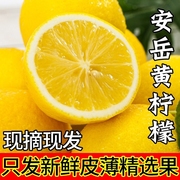 新鲜四川安岳黄柠檬水果皮薄多汁应当季整箱香水甜青柠檬整箱