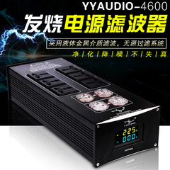 台湾YYAUDIO 4600 HiFi音响用发烧电源滤波器防雷插座静化器排插