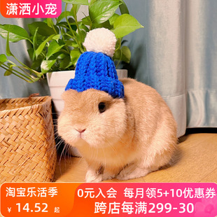 手工兔子荷兰猪装饰帽子侏儒兔猫猫兔垂耳兔宠物兔保暖毛线帽