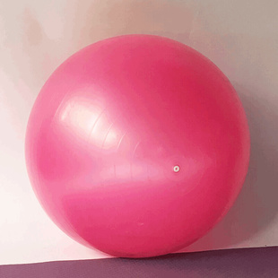 瑜伽球加厚防爆初学者女65CM减肥健身儿童大龙球普拉提平衡球