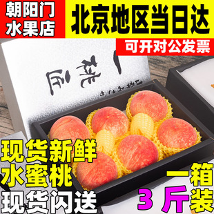 新鲜水蜜桃3斤礼盒装甜蜜多汁鲜桃当季时令毛桃水果桃子寿桃