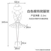 爬藤架室外花架子铁艺户外花园庭院阳台造型植物牵引固定架模特款