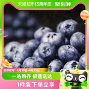 云南蓝莓果径约15mm+中果125g/盒新鲜水果