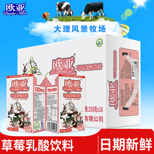 日期新鲜欧亚牛奶草莓乳酸饮料250g*16盒/箱整箱大理乳制品