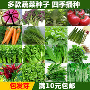 蔬菜种子鸡毛菜菠菜，小葱香菜秋葵，黄瓜豆角西红柿番茄四季播易种