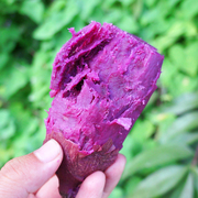 新鲜紫罗兰紫薯10农家地瓜红皮薯粗粮紫心板栗紫番薯5斤