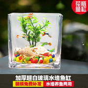 小型鱼缸水培玻璃花瓶水族箱透明加厚正方形乌龟缸办公室家用摆件