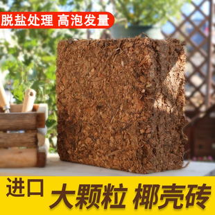 进口粗椰壳砖透气营养土通用型椰壳兰花专用土植料椰糠养花大椰砖