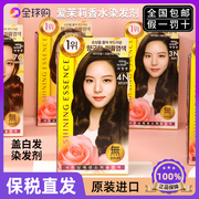 韩国爱茉莉染发剂 纯植物精油香水染发膏 在家自染发流行色盖白发