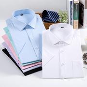 夏季男式商务短袖衬衫修身职业，正装纯色棉质面试白衬衣(白衬衣)工装耐磨
