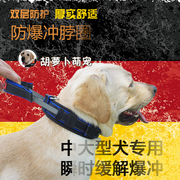 中型犬大型犬项圈，伸缩狗狗脖圈金毛拉布拉多脖圈防爆冲宠物狗颈圈