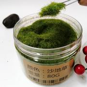 diy沙盘模型草粉仿真青苔，苔藓假山造景，植物墙铺装饰假草坪地形粉