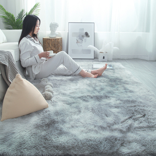 地毯卧室客厅2023床边毛毯地垫，冬天冬季家用房间少女垫子沙发