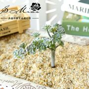 18头仙人科多肉植物创意diy创意，用品人造植物绿植家居装