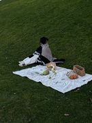 niceone野餐垫户外露营野餐毯沙发盖毯双面针织户外地垫加厚i