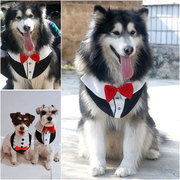 宠物狗狗西服西装领结礼服结婚伴郎大中小型犬英伦衣服比熊泰迪