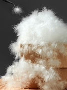 鹅绒扭花平格羽绒被冬被被子被芯，进口95白鹅绒(白鹅绒)加厚轻便保暖