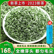 贵州都匀毛尖茶2023年新茶特级绿茶明前春茶手工茶叶礼盒装250g