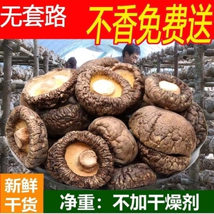香菇干货500g净重冬菇厚肉干煲汤食材菌菇农家蘑菇香菇干家用