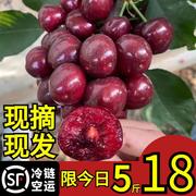 现摘现发大樱桃新鲜水果车厘子 山东烟台当季孕妇5斤