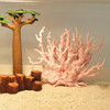 龙珊瑚高仿真树脂珊瑚 寄居蟹攀爬 水族鱼缸造景装饰家居摆件