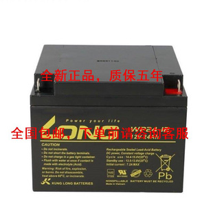 广隆LONG铅酸蓄电池WP55-12 12V55AH免维护直流屏 光伏UPS电源