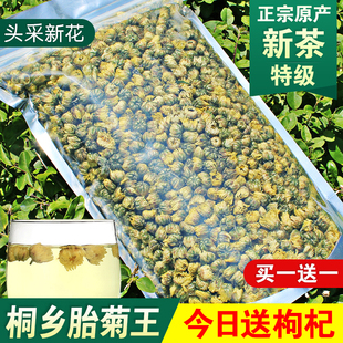 菊花茶正宗头采桐乡胎菊王250g特级杭白胎菊枸杞菊花茶冲泡茶新花