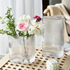 网红花瓶北欧ins风，玻璃透明水养鲜花，郁金香客厅餐桌插花装饰摆件