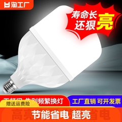 欧御220V3级室内节能省电单灯