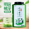 小叶苦丁茶嫩芽2023新茶四川特产，级峨眉山野生青山绿水茶叶250g