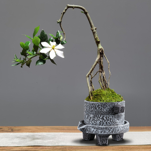 创意紫砂陶瓷纯手绘绿植花盆，造景高款方签筒(方签筒)黑松兰花竹子桌面花器