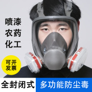 防毒面具全面罩化工喷漆专用毒气体粉尘农药，甲醛套装防尘面罩全脸