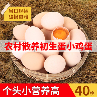 百食轩 农家土鸡蛋山养新鲜鸡蛋宝宝蛋月子蛋农村自养初生蛋40枚
