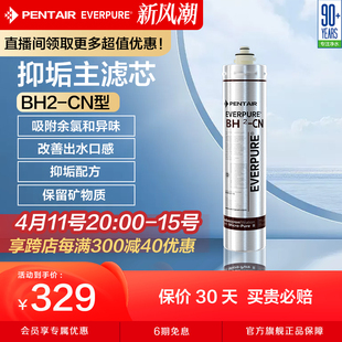 爱惠浦净水器主滤芯，家用自来水过滤器，直饮净水机耗材bh2